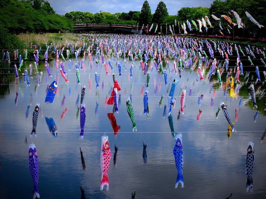 Thousands of koi nobori fish flags at Tatebayashi
