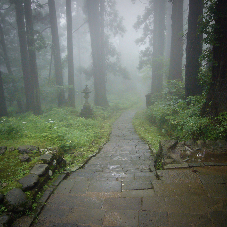Misty stone-paved trail through the cedar forest on pilgrimage route at Haguro-san