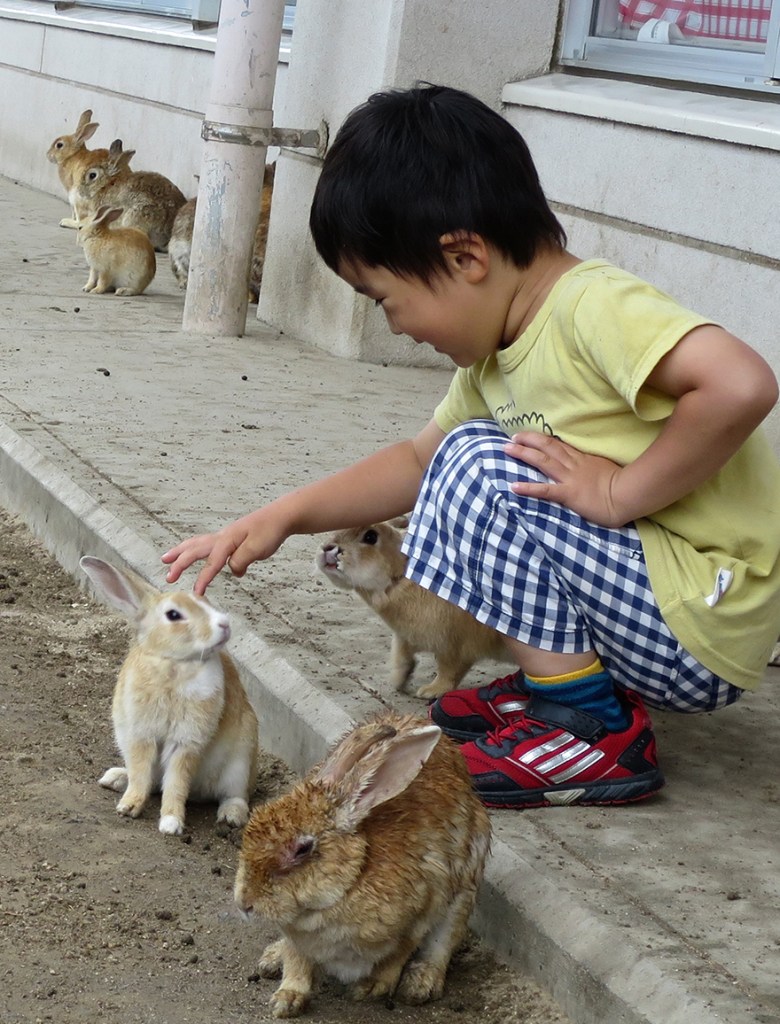 Small child petting rabbits on Okunoshima Bunny Island