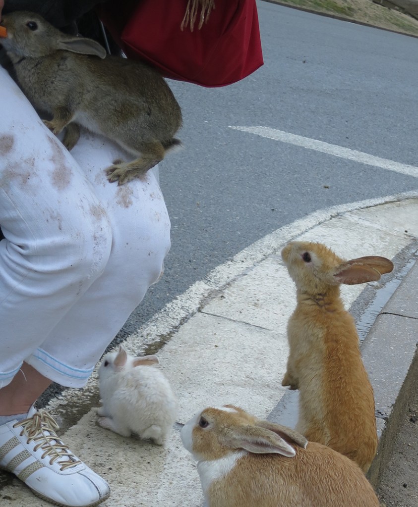Visitor in white pants with rabbit paw prints on Okunoshima Bunny Island