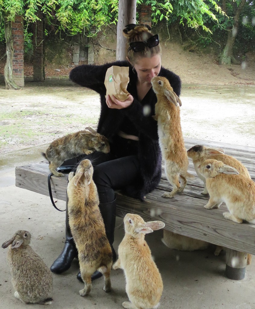 Rabbits gathering around visitor on Okunoshima Bunny Island
