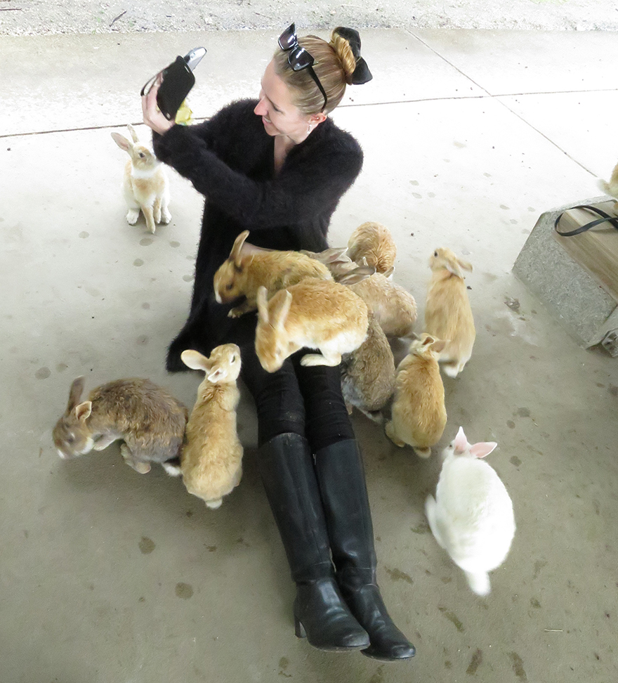 Rabbits gathering around visitor taking selfie on Okunoshima Bunny Island