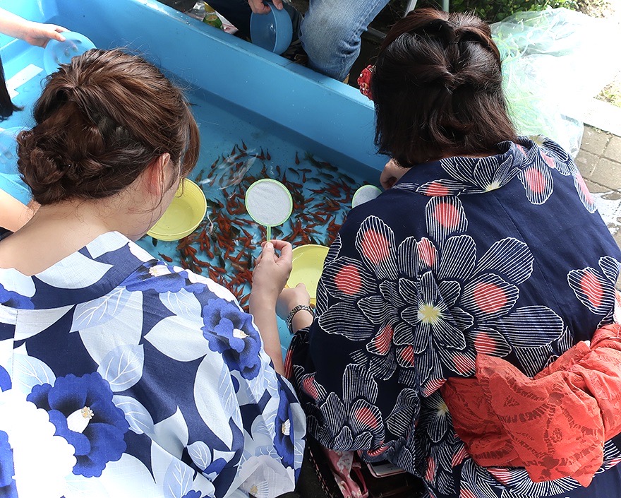 Two young women in summer kimonos catching goldfish at summer festival in Edogawa