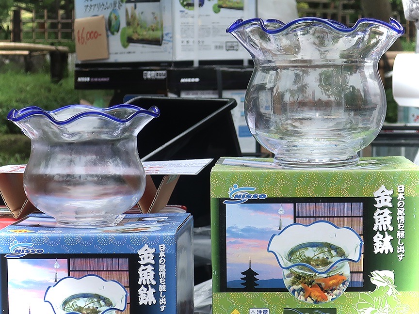 Traditional Japanese goldfish bowls at the Edogawa Goldfish Festival