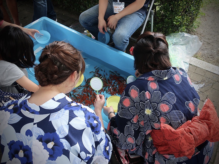 Young women in yukata catching goldfish at the Edogawa Goldfish Festival