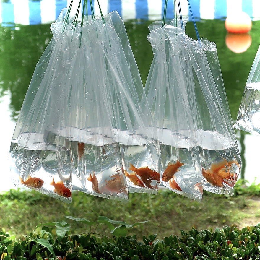Bags of goldfish at the Edogawa Goldfish Festival
