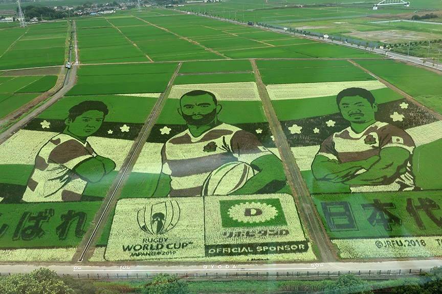 Rice field tambo art in Gyoda 2019 rugby players