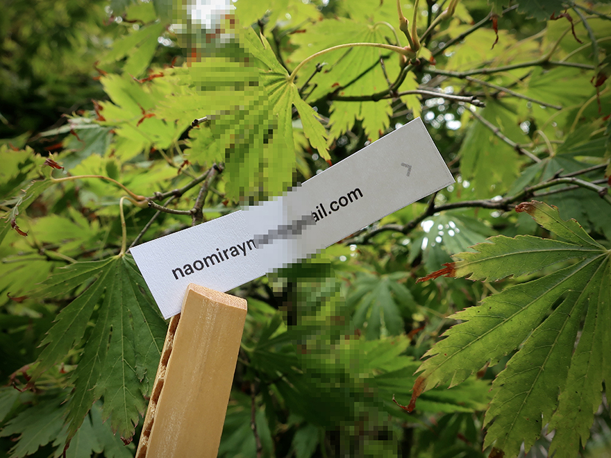 July Japanagram book giveaway winner