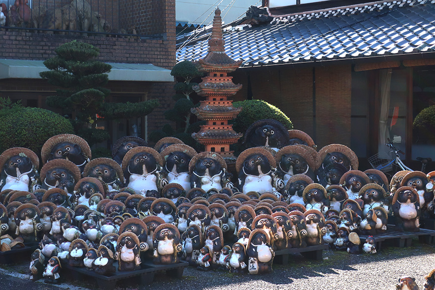 Ceramic tanuki figures in Shigaraki