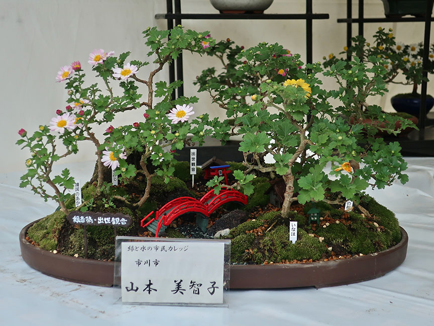 Bonsai chrysanthemums at Hibiya Park in Tokyo
