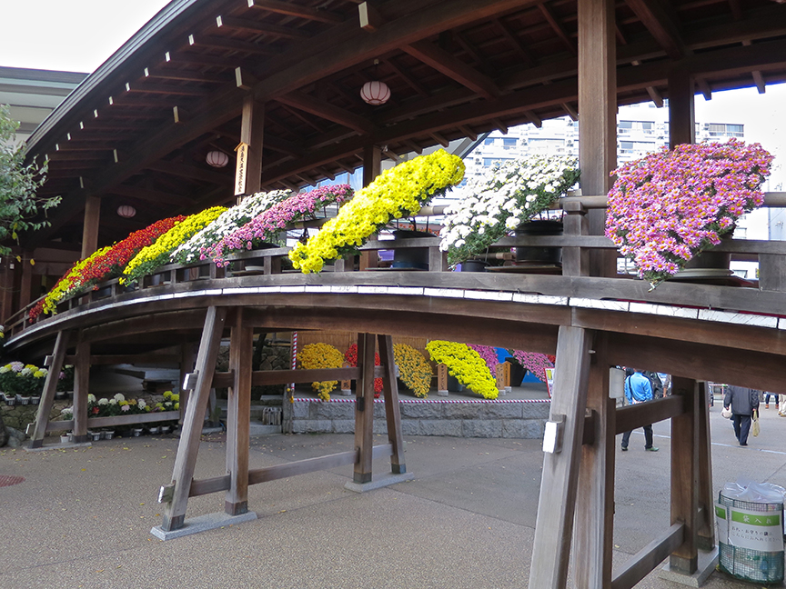 Bonsai chrysanthemums at Yushima Shrine in Tokyo