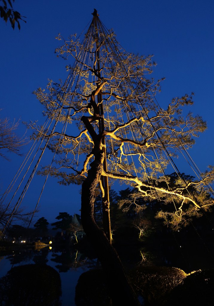 Kenroku-en garden in Kanazawa lit up at night