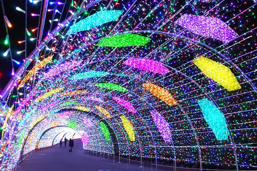 Let's go see millions of twinkling lights – Japanagram