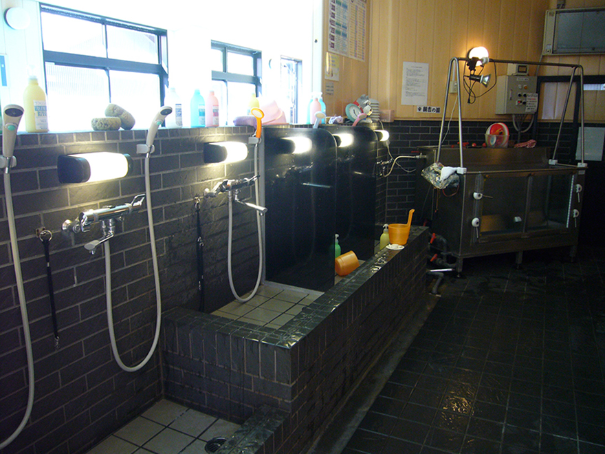 Petite Dog Resort Joker hot spring bath for dogs