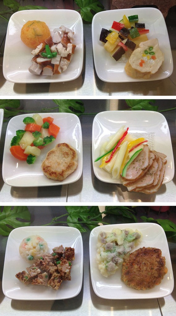 Gourmet dog food plates at pet store "deli"