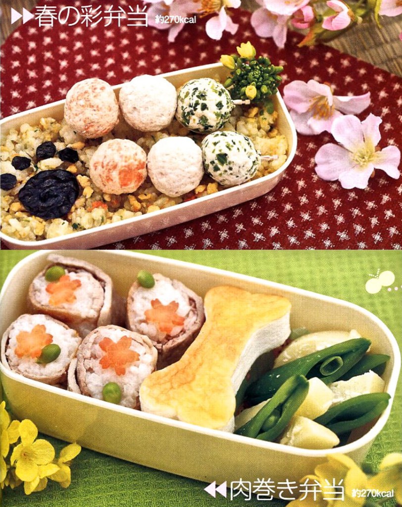 Dog food bento boxes