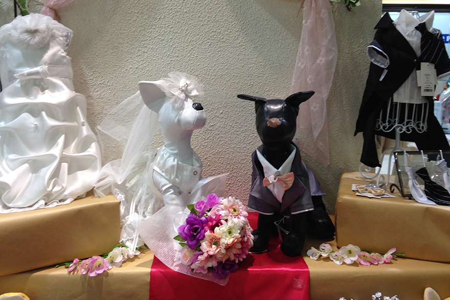 Bride and groom dog outfits