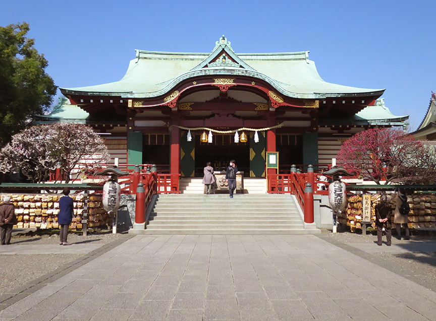 Plum blossoms at Kameido Tenjin shrine