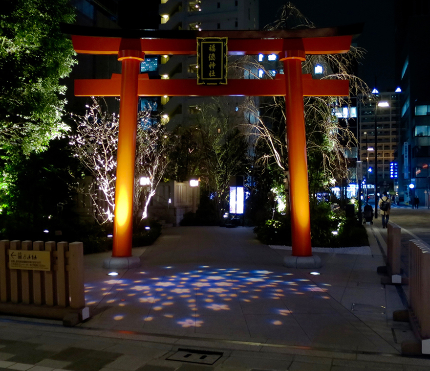 Fukutoku Shrine lit up in pink for cherry blossom season