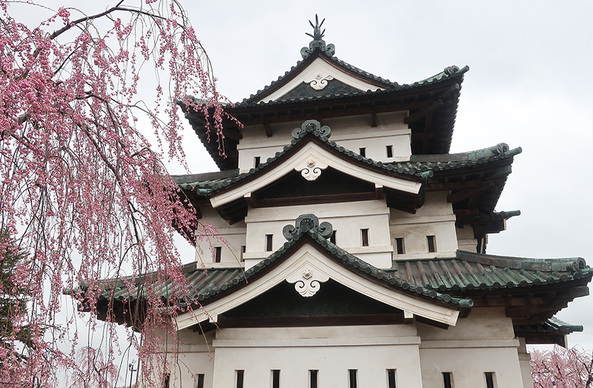 Cherry blossom season at Hirosaki Castle in Aomori prefecture