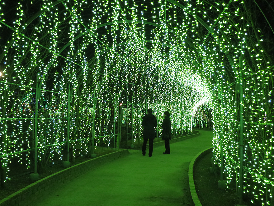 Winter illuminations at Ashikaga Flower Park