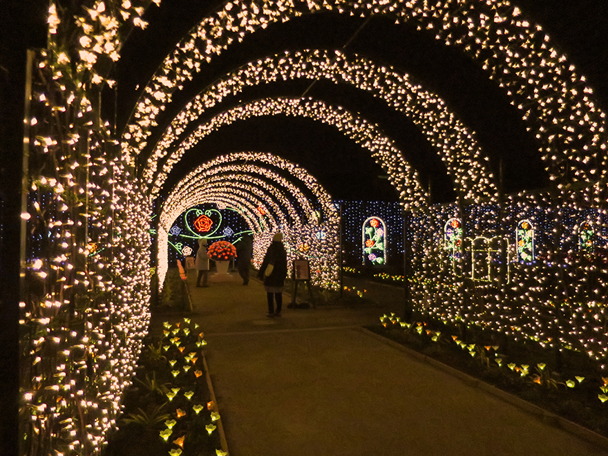 Winter illuminations at Ashikaga Flower Park