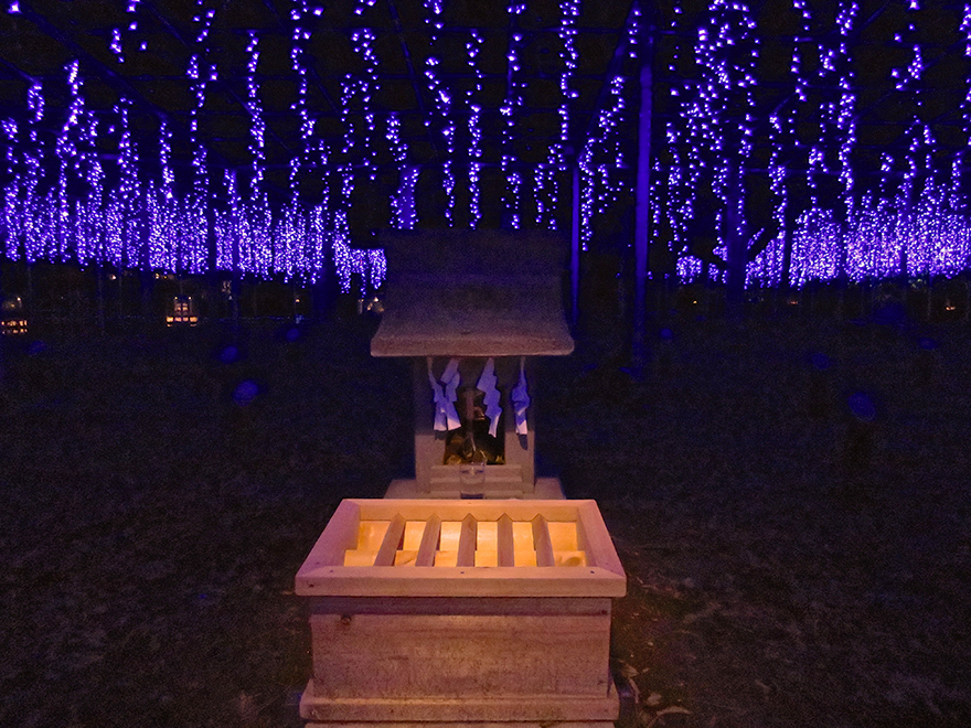 Winter illuminations at Ashikaga Flower Park