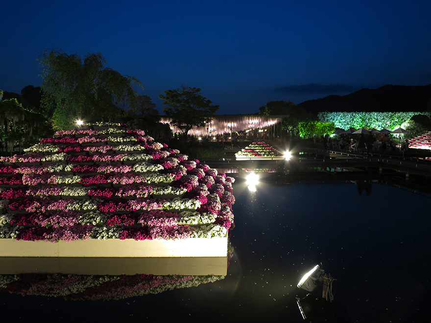 Reflecting pools at Ashikaga Flower Park