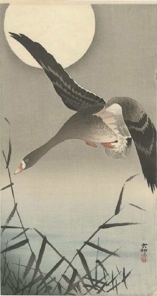 Woodblock print of a flying goose and the moon by Ohara Koson