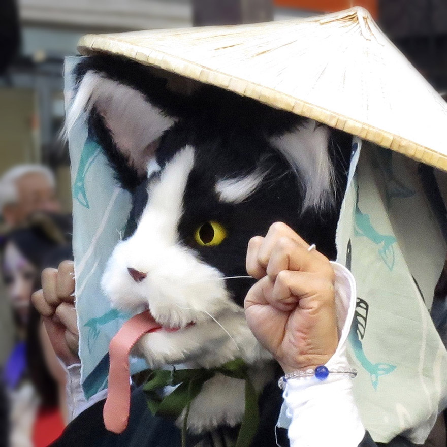 Someone dressed up in crazy ghost cat mask and wig in the Bakeneko Parade in Kagurazaka