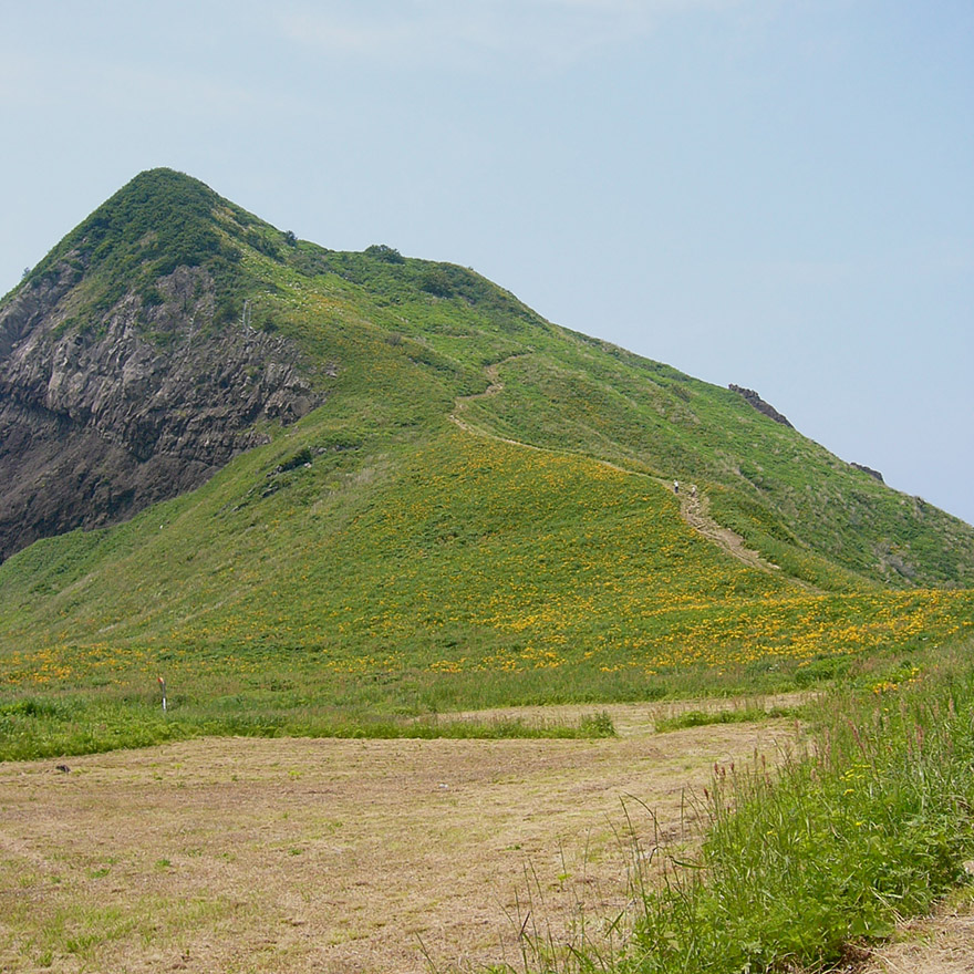 Daylilies blooming on the hills of Sado Island