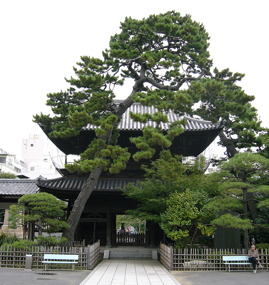 Main gate of Sengakuji temple