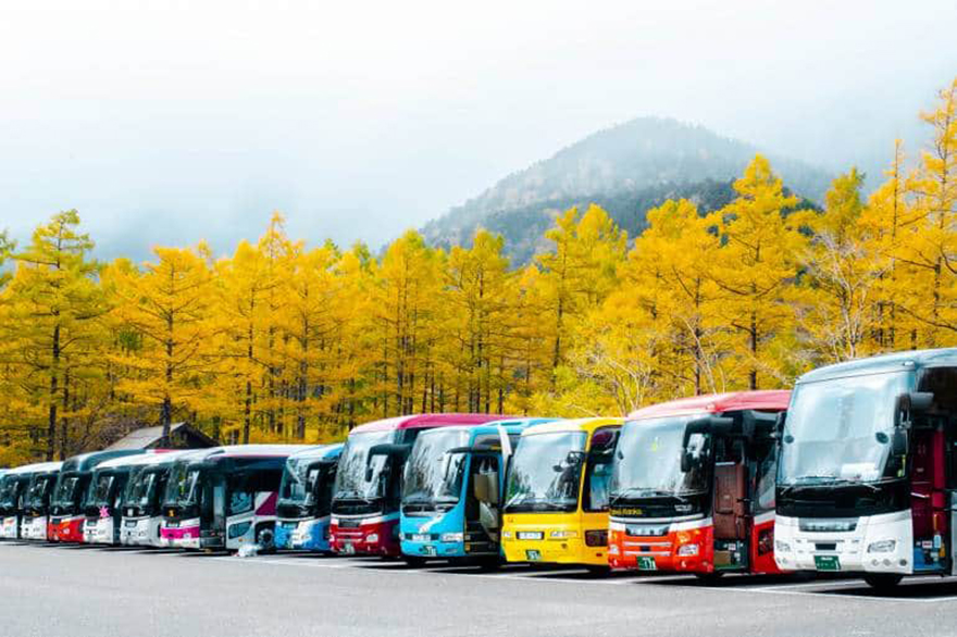 Japanese bus tour buses parked