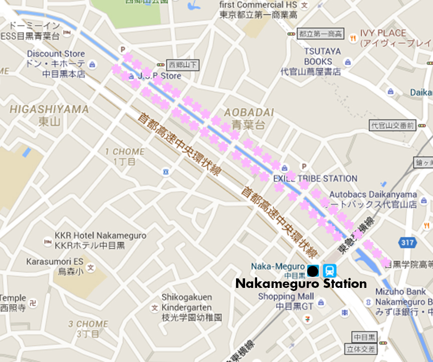 Map of where to see cherry blossoms at Nakameguro area in Tokyo