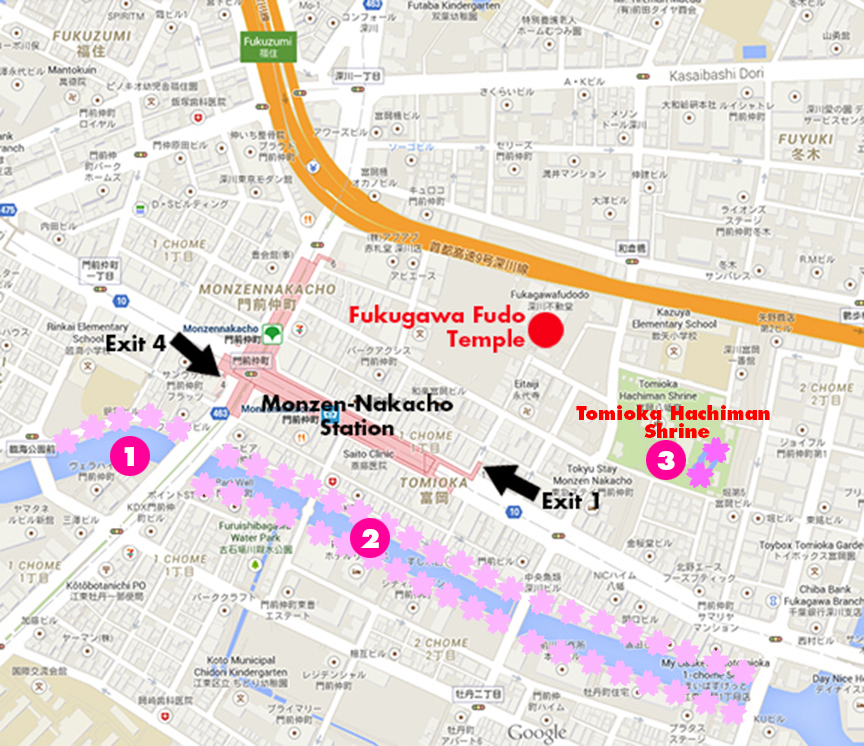 Map of where to see cherry blossoms at Monzen-Nakacho area in Tokyo