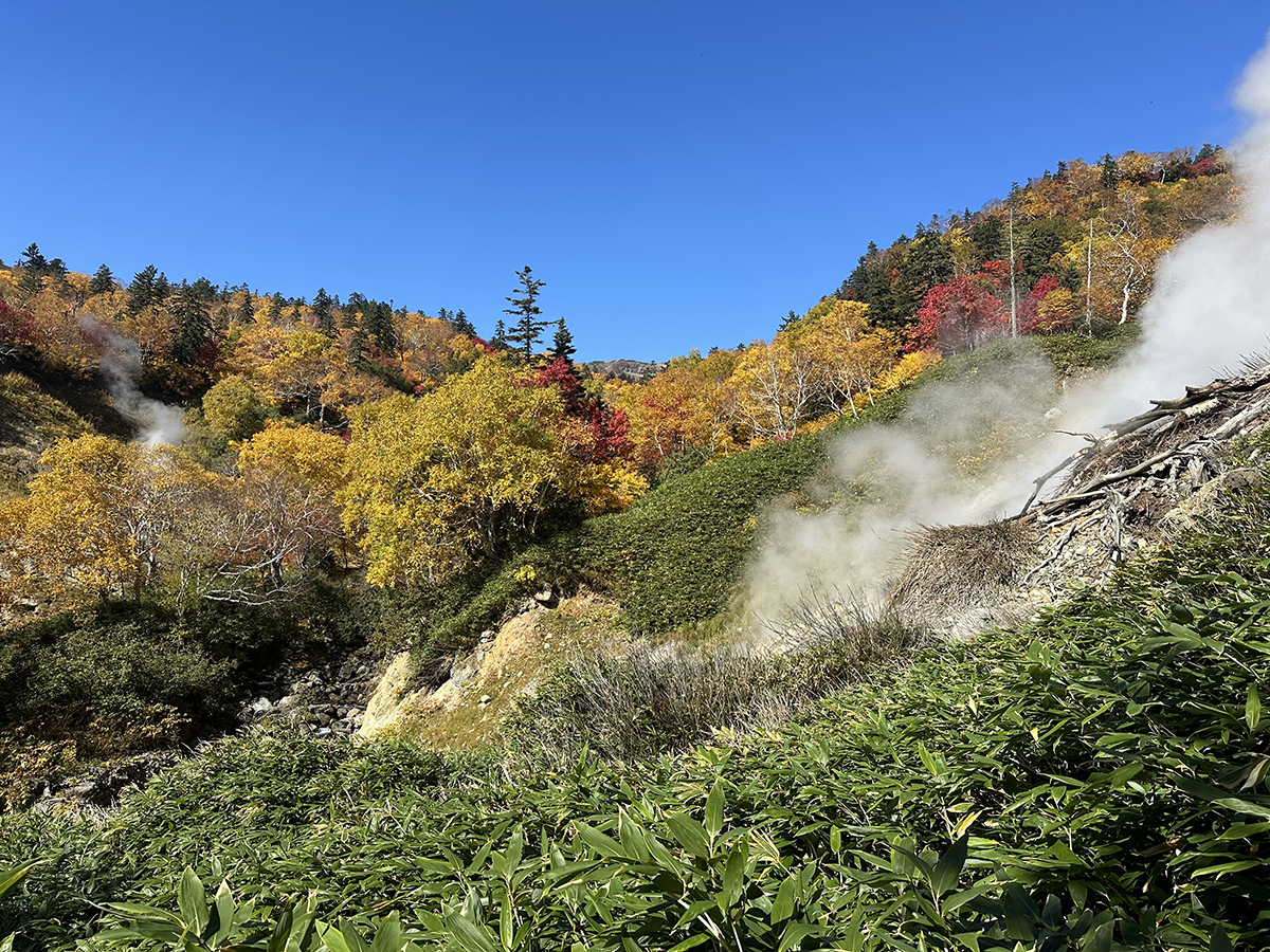 Hokkaido: Like the Alps…but with volcanos – Japanagram