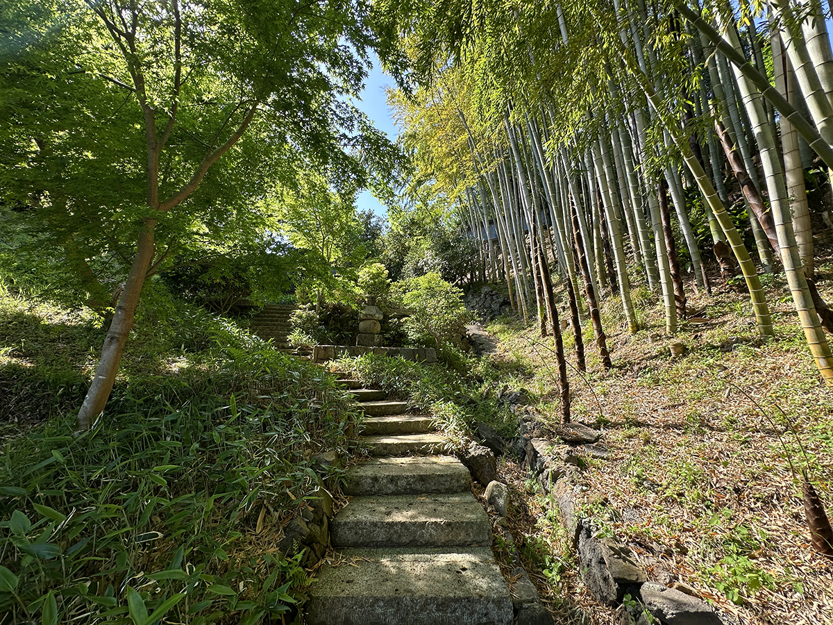 Let's explore an amazing Japanese design site that turns landscape