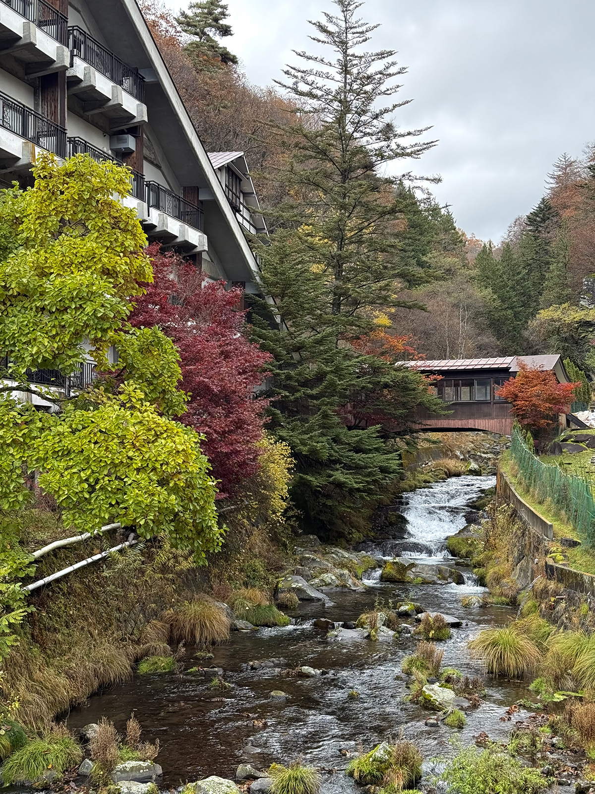 Let's stay at an amazingly bookish Japanese inn! – Japanagram